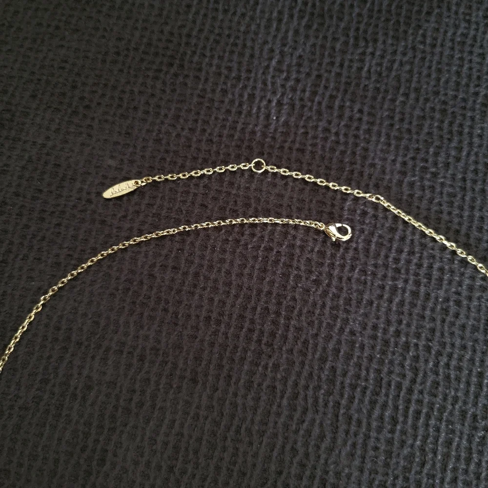 Lulu DK "Fierce"💪 Stationary Bar Necklace - NWOT - Picture 11 of 15